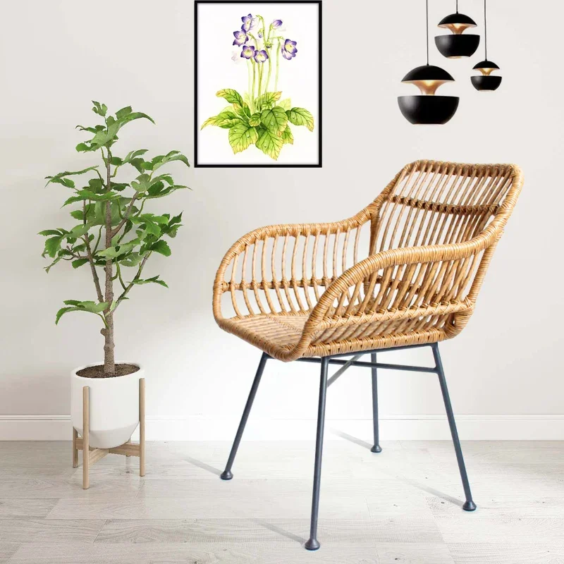 Nordic Dining Chairs for Kitch - Outdoor Furniture Kitchener ulasan dan harga